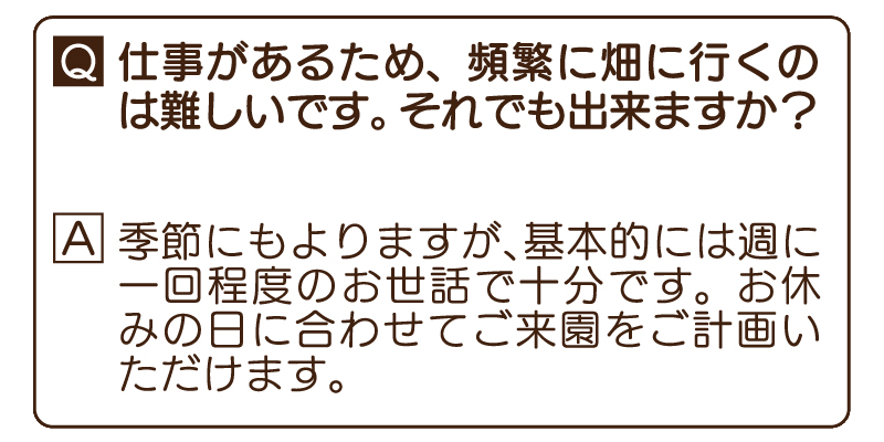 Q&A 2
