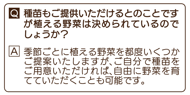 Q&A 3