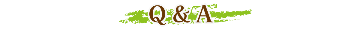 Q&A