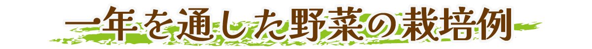 1年を通した野菜の栽培例