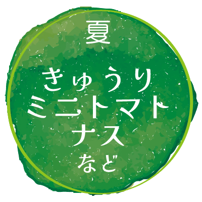 栽培例_夏