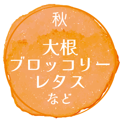 栽培例_秋